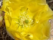 Canyonlands National Park