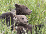 Lake Clark National Park and Preserve