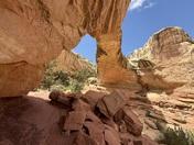 Capitol Reef National Park