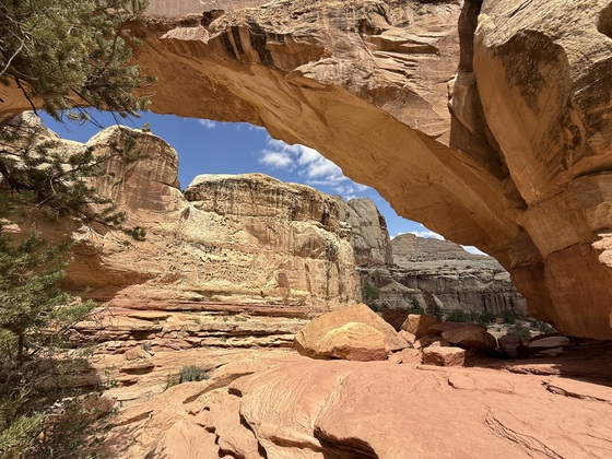 Capitol Reef National Park
