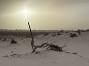 White Sands National Park 