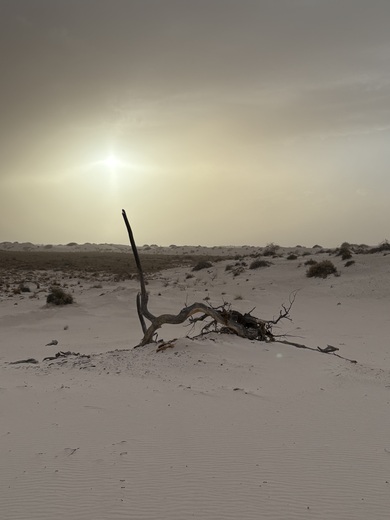 White Sands National Park 