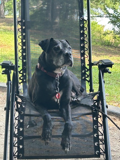 Watsadler Campground