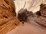 Capitol Reef National Park