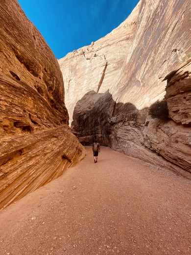 Capitol Reef National Park