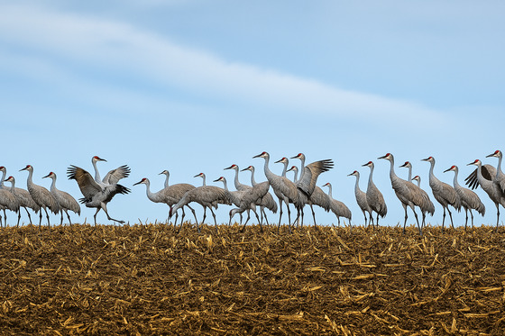 Columbia Basin Wildlife Preserve