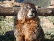 Rocky Mountains National Park