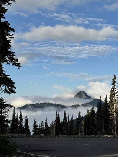 Mount Rainier National Park