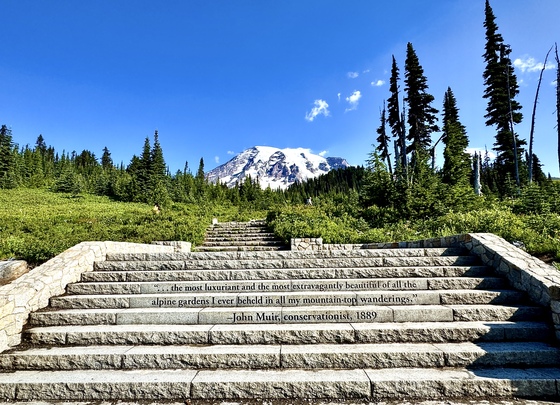 Mount Rainier National Park