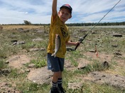 Ashurst Lake Arizona