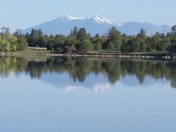Ashurst Lake -Coconino National Forest