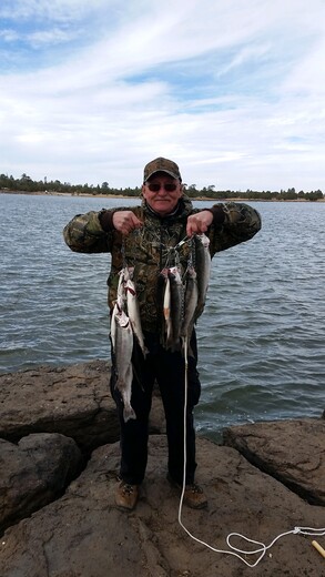 Ashurst Lake Arizona