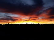 Ashurst Lake Arizona