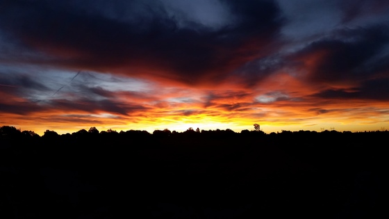 Ashurst Lake Arizona
