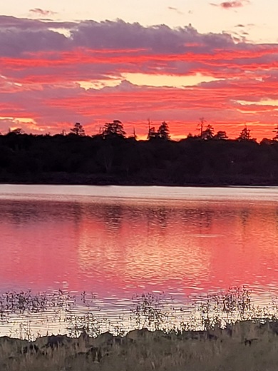 Ashurst Lake Arizona