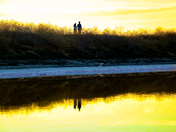 Don Edwards San Francisco Bay National Wildlife Refuge