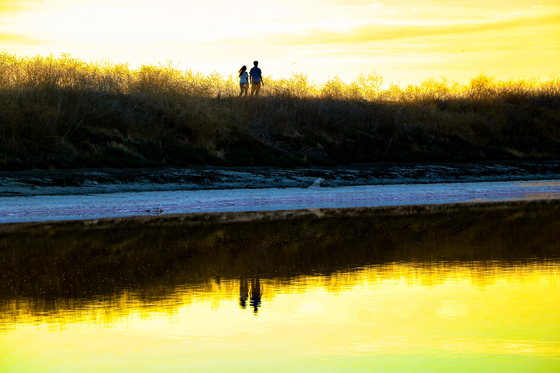 Don Edwards San Francisco Bay National Wildlife Refuge