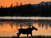 Rocky Mountain National Park 