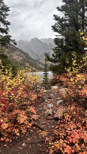 Grand Teton National Park