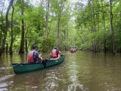 Congaree National Park