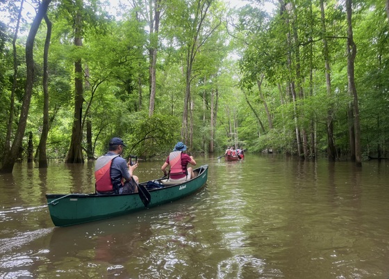 Congaree National Park