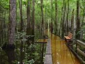 Congaree National Park