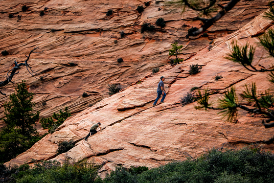 Zion National Park