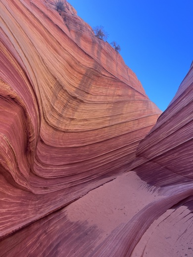 Vermillion Cliffs National Monument 