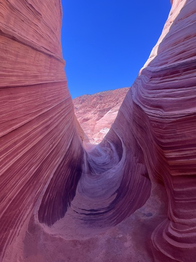 Vermillion Cliffs National Monument 