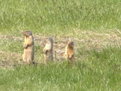 Glacier National Park