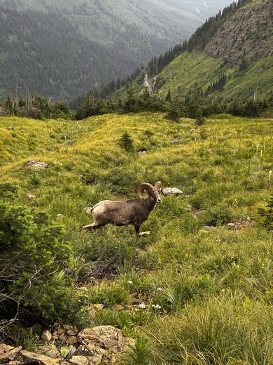 Glacier National Park