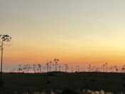 Everglades National Park