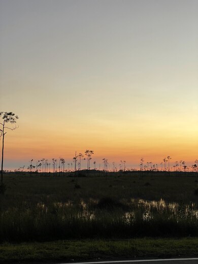 Everglades National Park