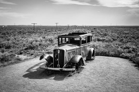 Petrified Forest National Park