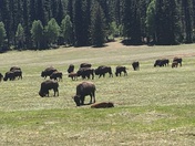 Grand Canyon National Park