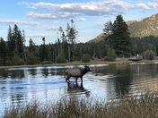 Rocky Mountain National Park