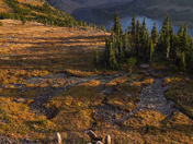 Glacier National Park 