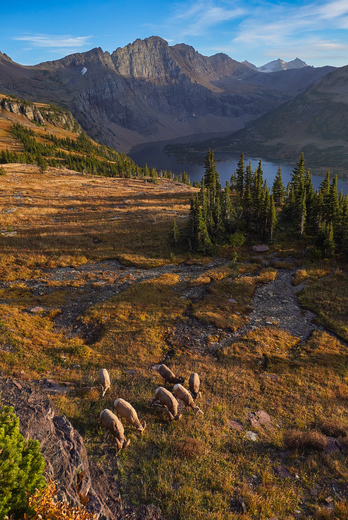 Glacier National Park 
