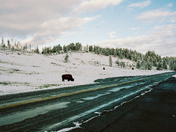 Yellowstone National Park