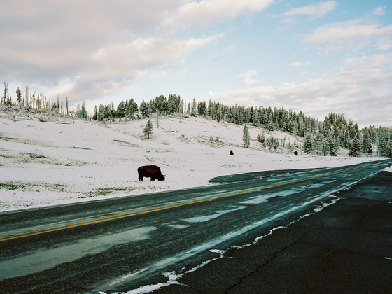 Yellowstone National Park