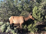 Grand Canyon National Park