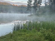Black Hills National Forest 