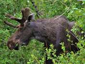 Rocky Mountain National Park
