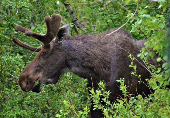 Rocky Mountain National Park