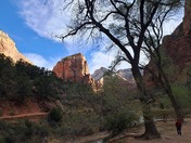 Zion National Park