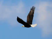 Assateague Island National Seashore