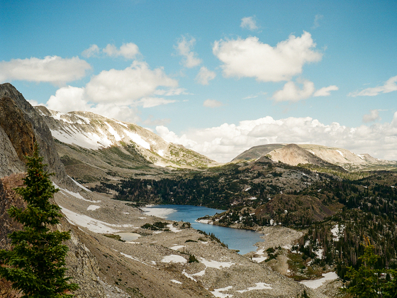 Medicine Bow National Forest