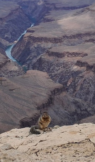 Grand Canyon National Park