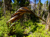 Glacier National Park