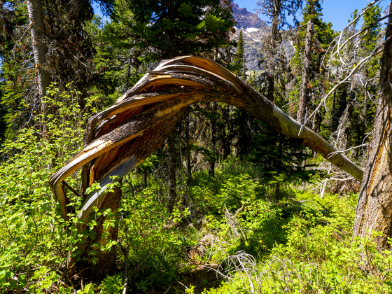 Glacier National Park